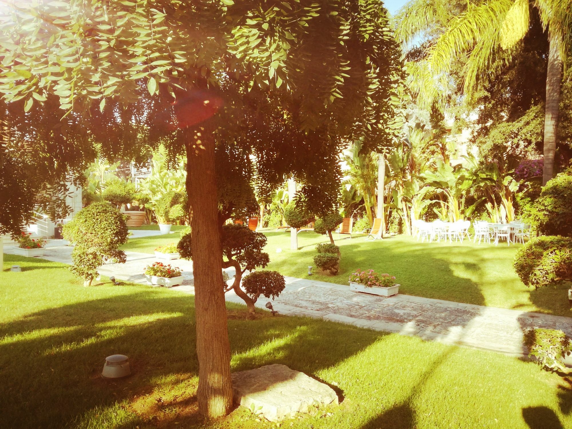 No Tag Urban Hotel ตรานิ ภายนอก รูปภาพ